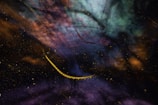A swirling cosmic animation blending stars and abstract shapes in deep blues and purples