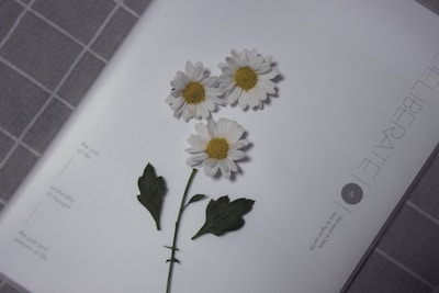 Three white daisies with yellow centers are arranged on a white page with text. The background features a gray checkered pattern.