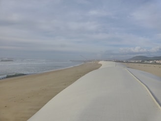 A team of coastal engineers examining shoreline models on a sunny beach.
