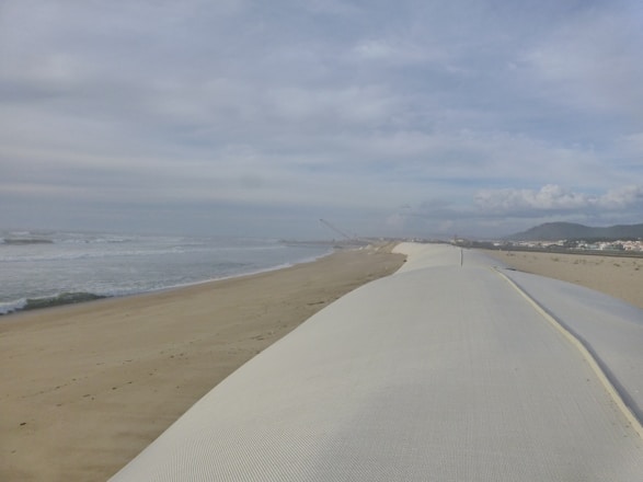 A team of coastal engineers examining shoreline models on a sunny beach.