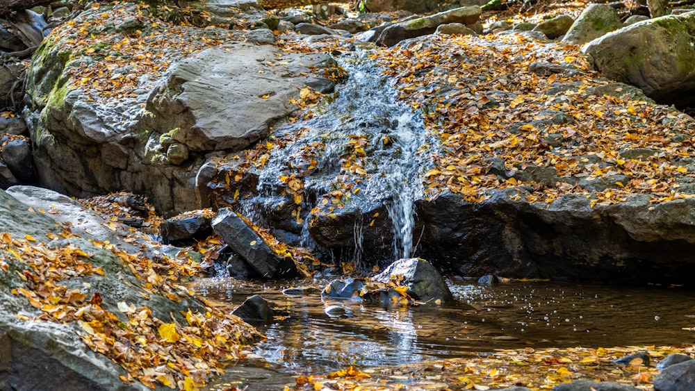 water falling on rocks during daytime