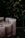 A group of large, unlit candles with a textured surface arranged on a dark tray. They are set against a backdrop of lush, green foliage.