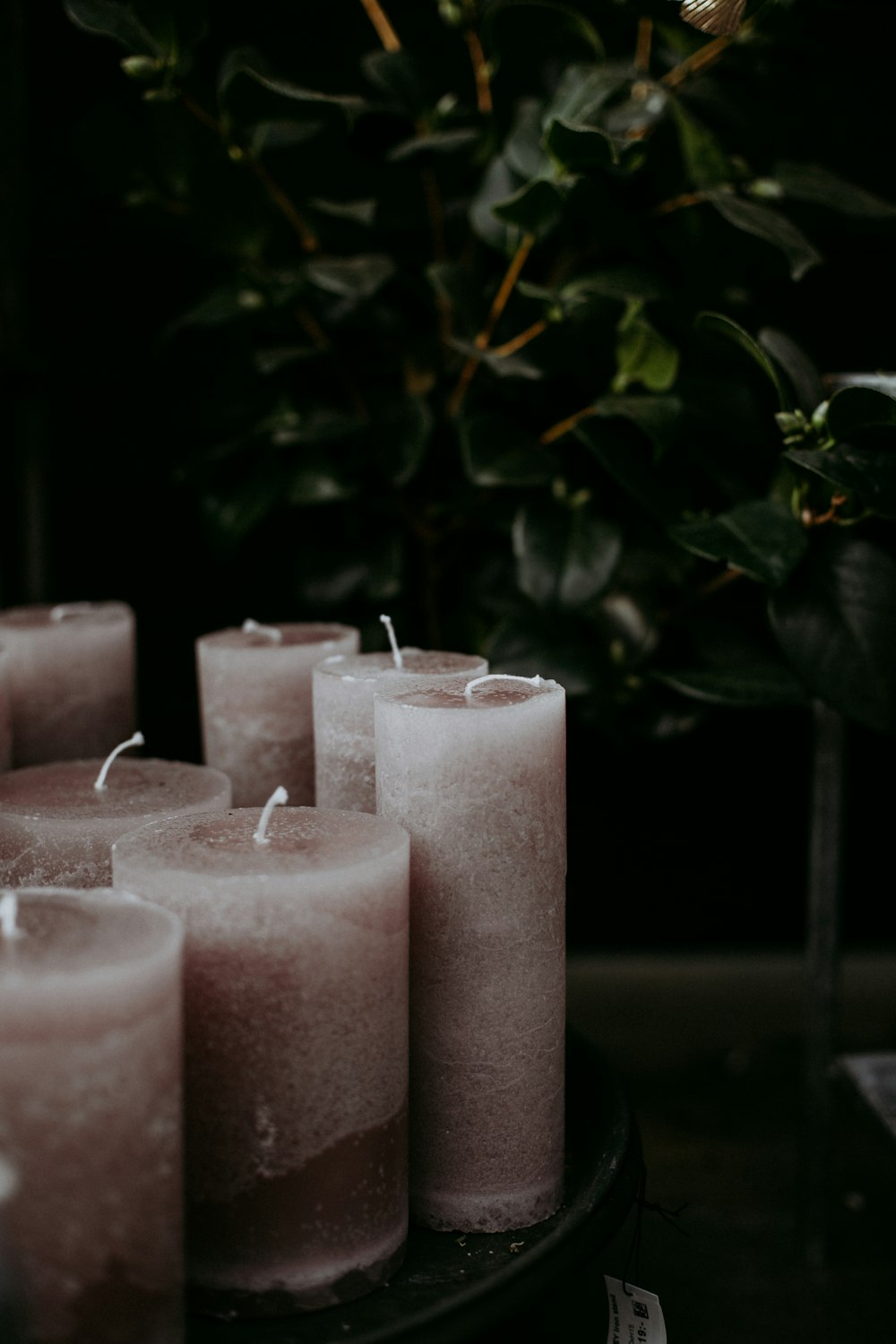 3 pink pillar candles with green leaves