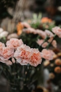 pink flowers in tilt shift lens