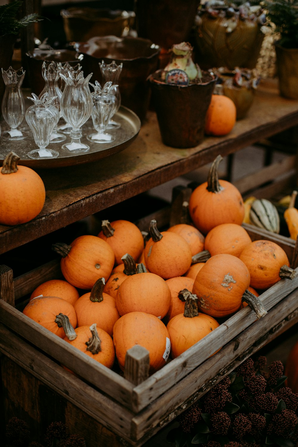 orange pumpkins on clear glass bowl