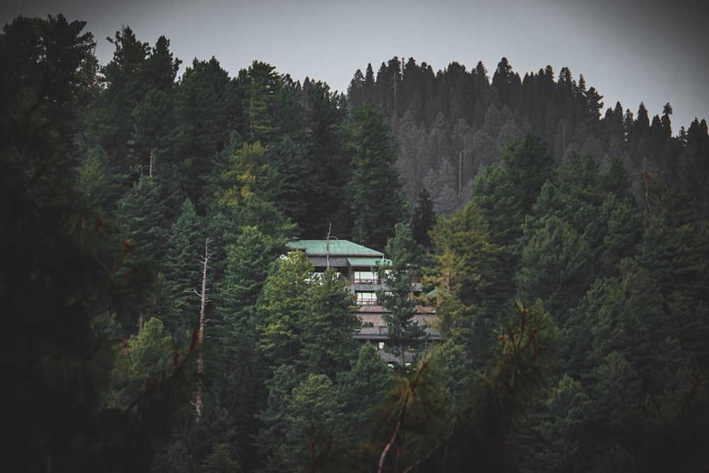 green trees near white building during daytime