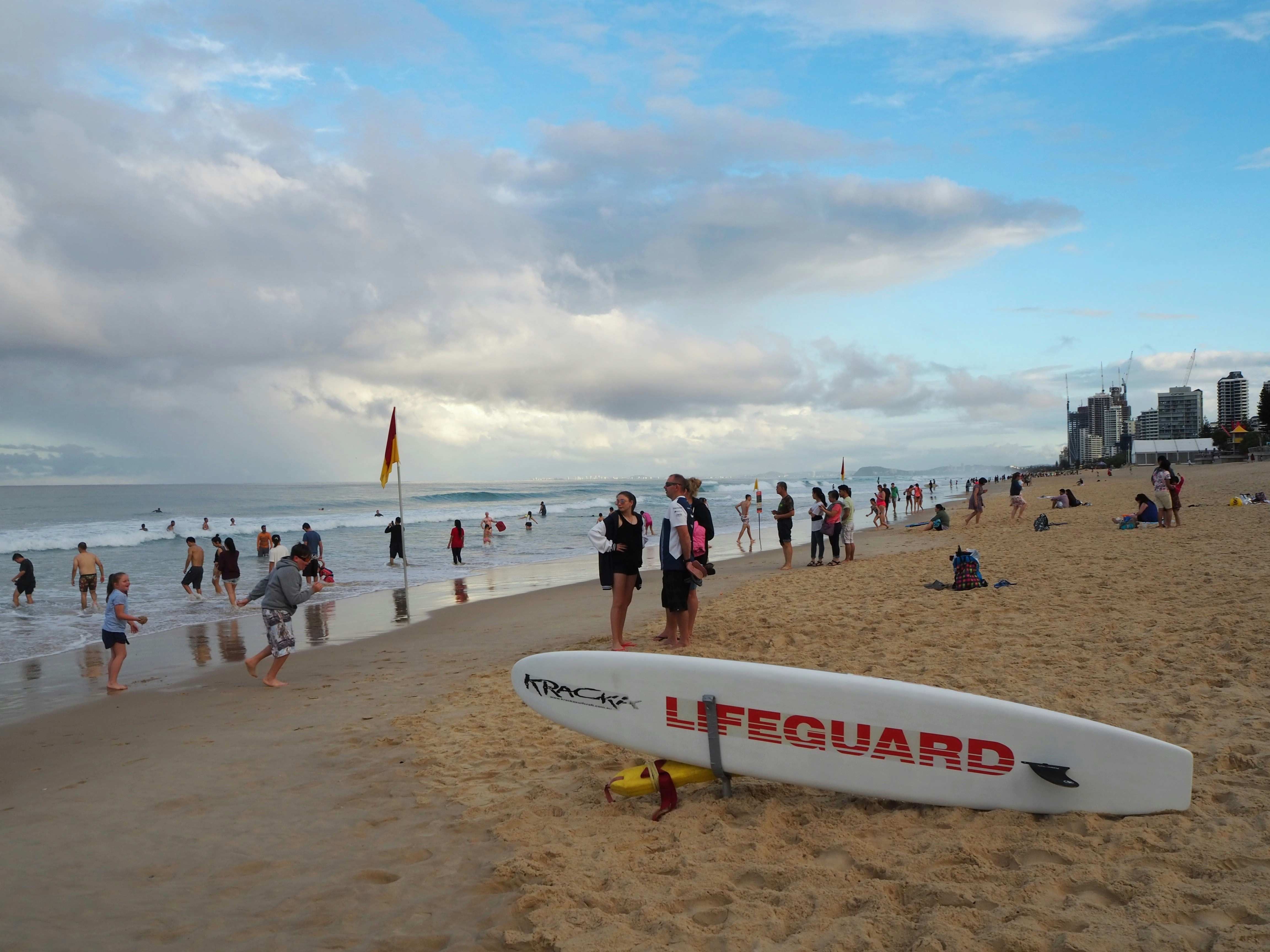 people on beach during daytime