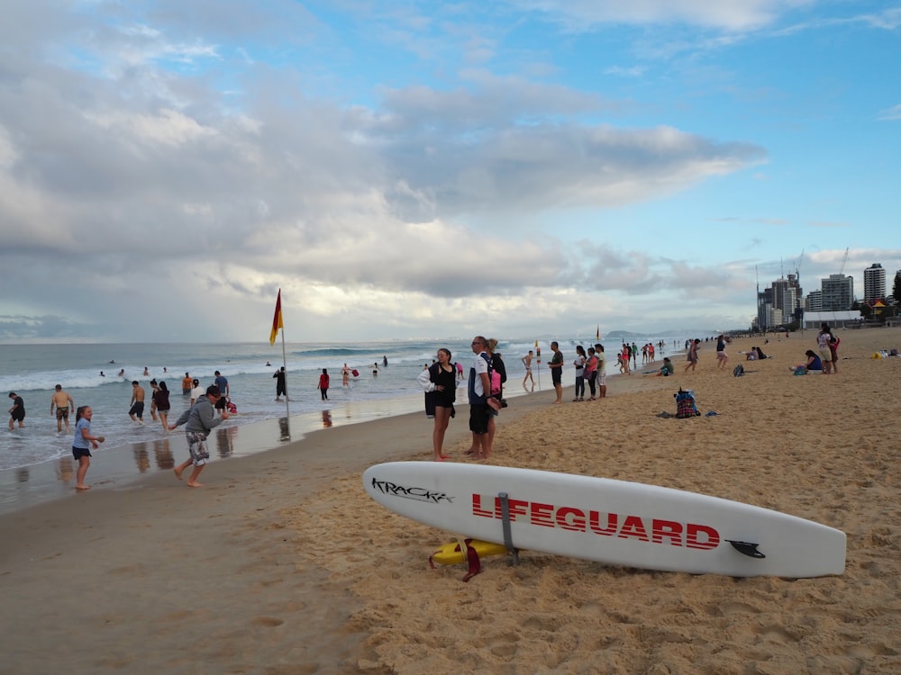 people on beach during daytime