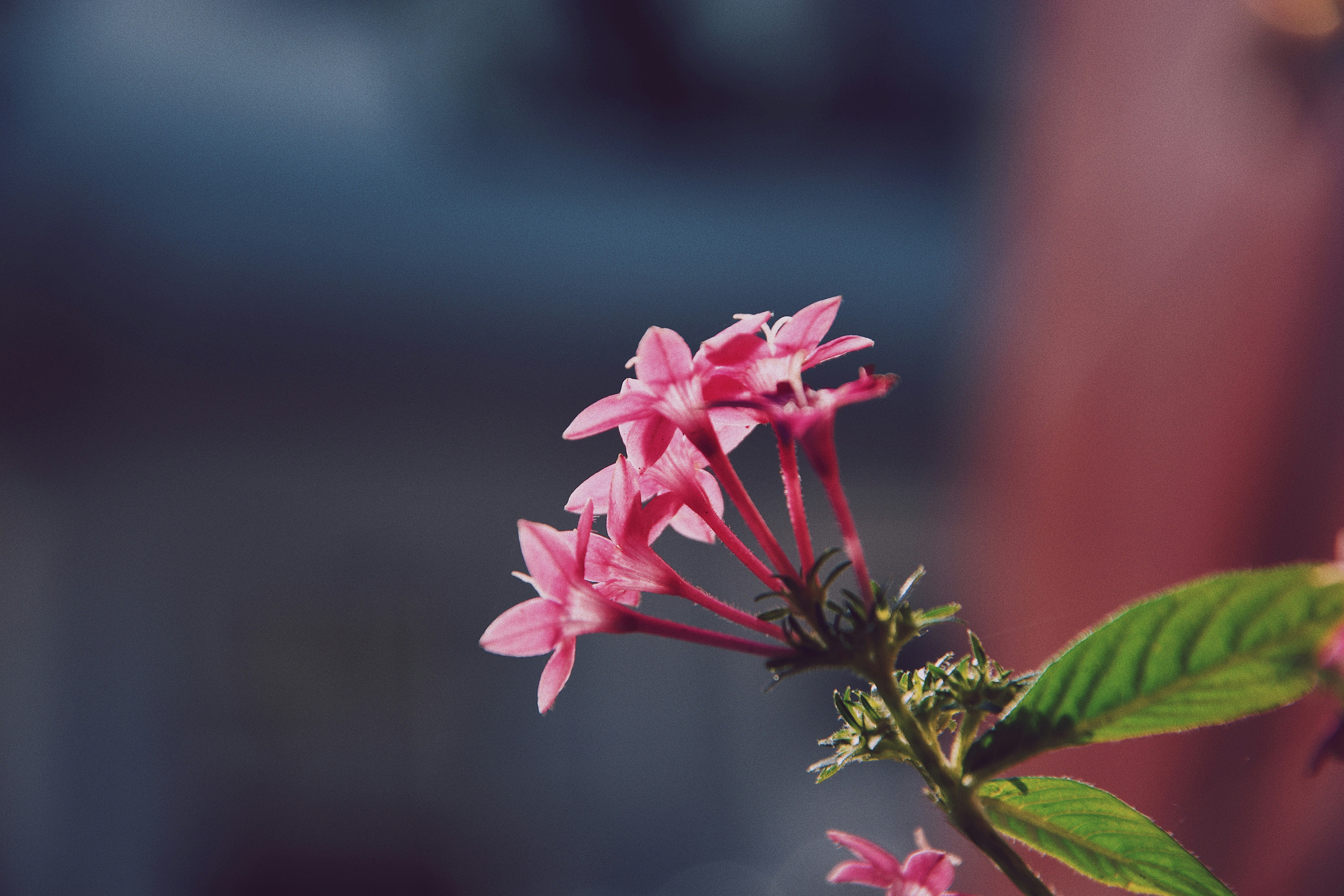 Photo by jizhidexiaohailang