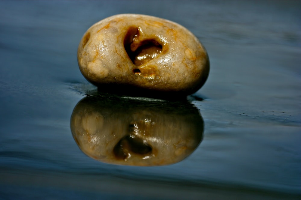 brown stone on blue water