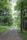A group of trekkers walking along a forest trail surrounded by lush greenery.