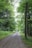 A group of trekkers walking along a forest trail surrounded by lush greenery.