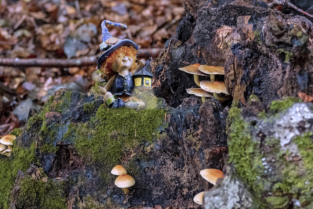 brown mushroom on green moss