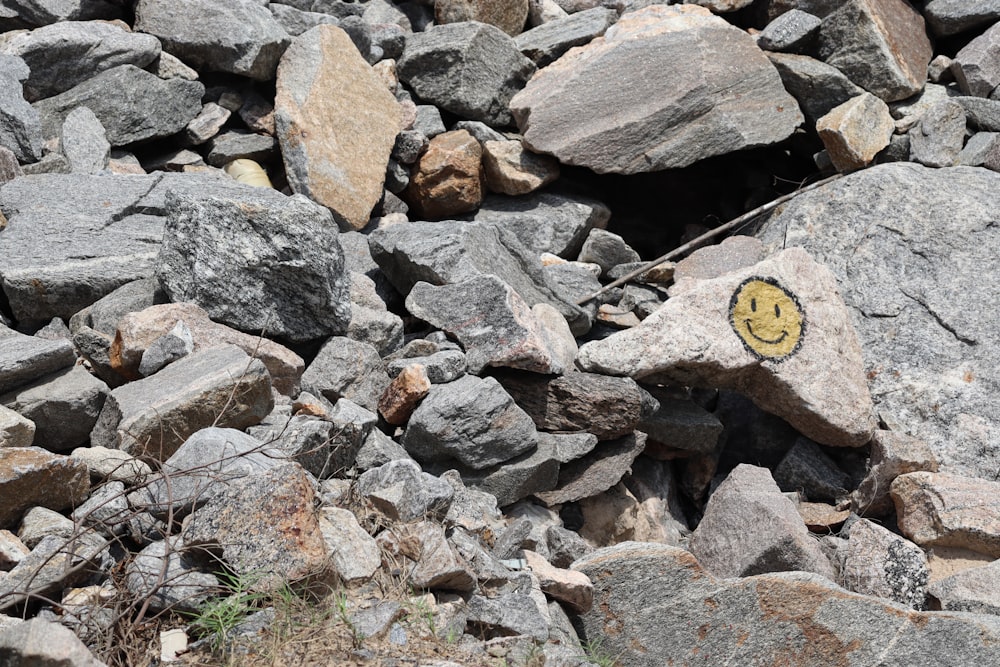 brown and white round ornament on brown and gray rock