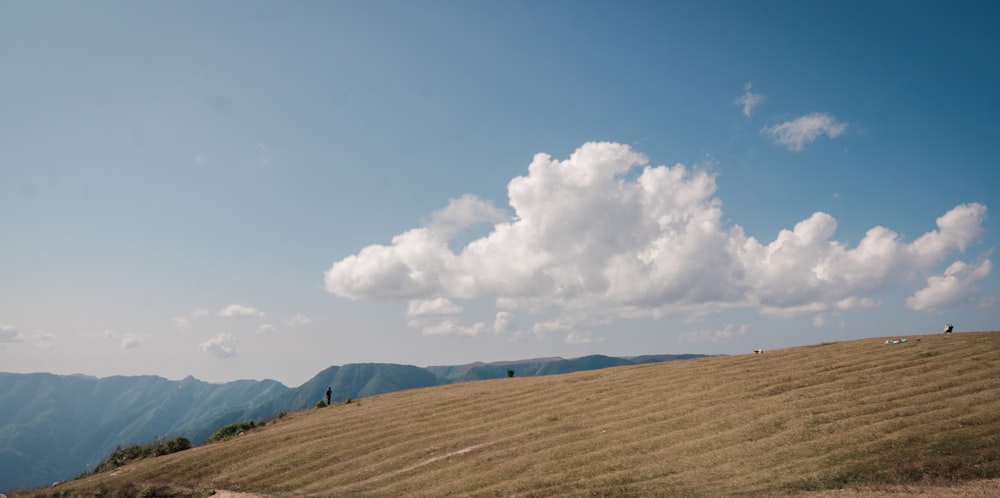 brown field under white clouds and blue sky during daytime