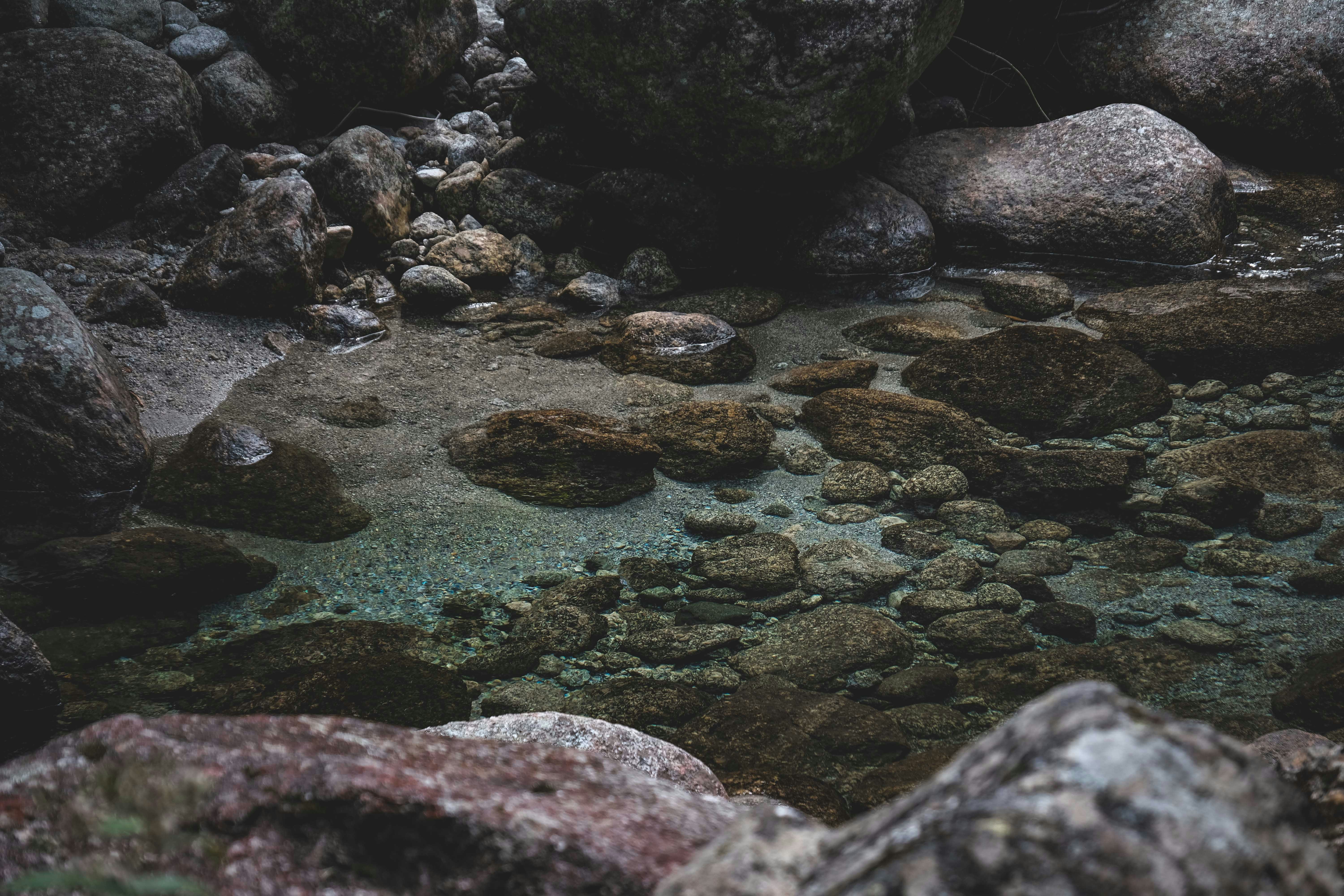 Photo by francesco_ungaro