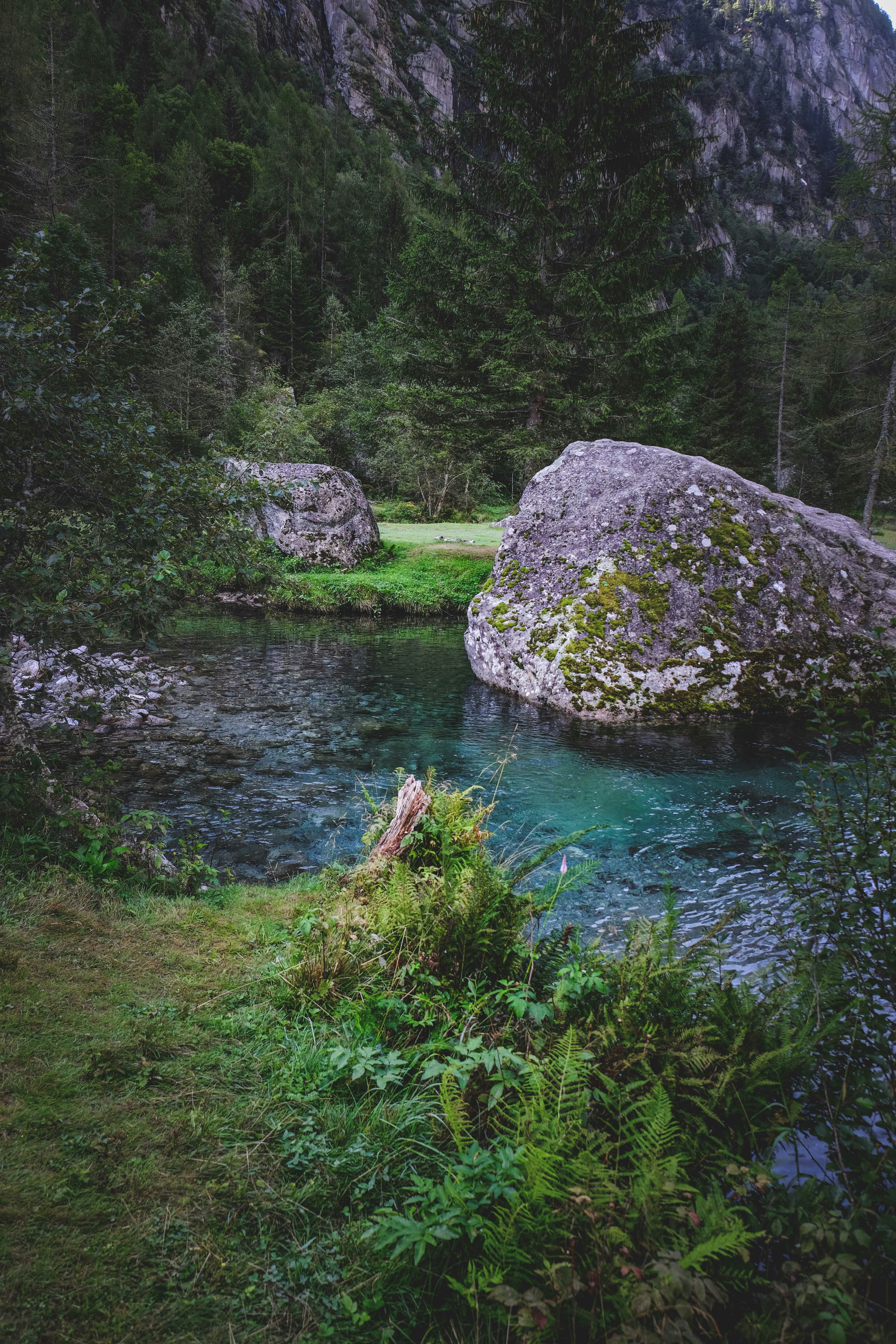 Gray rock on green grass near river during daytime - Free Photo on Unsplash