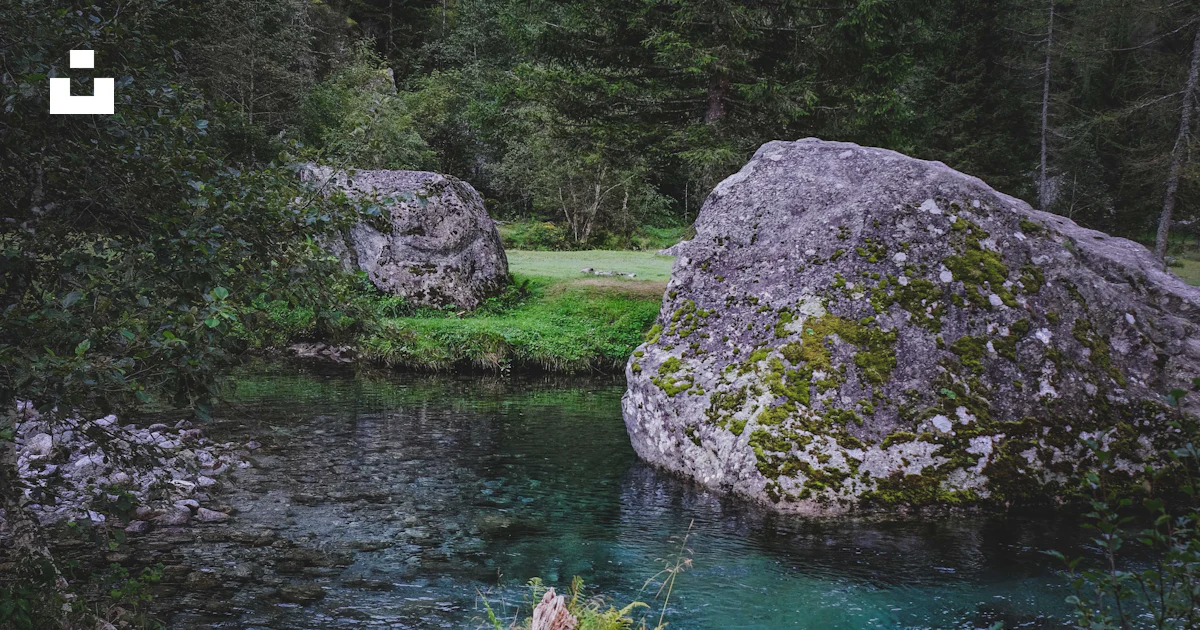 Logging Near Rivers Gray rock on green grass near river during daytime - Free Photo on Unsplash