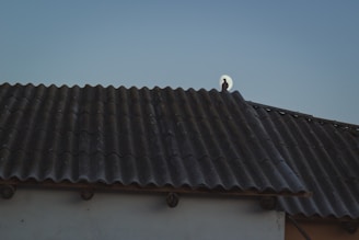 A dark roof with corrugated tiles and a silhouette of a bird perched near the edge against a pale sky. The moon is rising in the background, creating a serene silhouette effect with the bird in front of it.