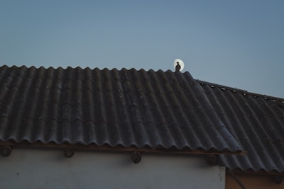 A dark roof with corrugated tiles and a silhouette of a bird perched near the edge against a pale sky. The moon is rising in the background, creating a serene silhouette effect with the bird in front of it.