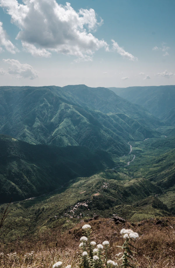 Miyar Valley
