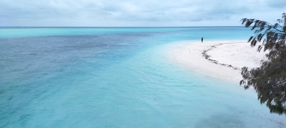 personne surfant sur la mer pendant la journée