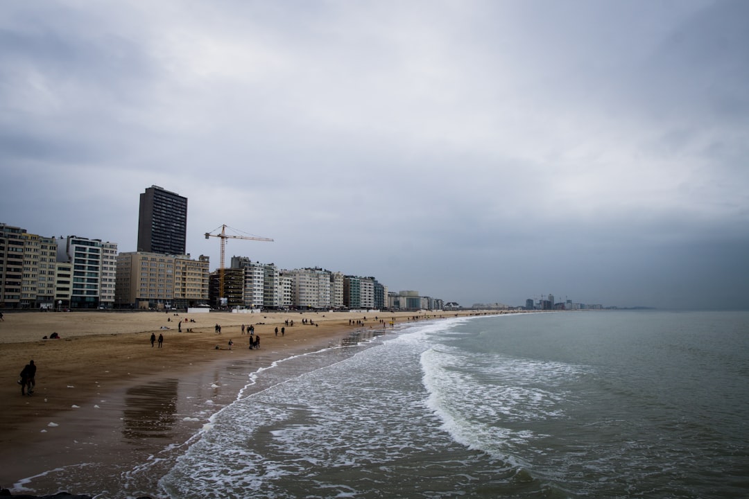 people on beach during daytime