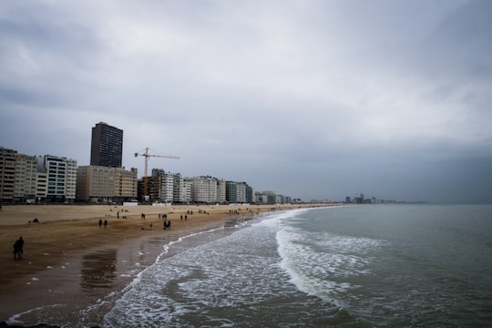 Sand Sculpture Festival Ostend things to do in Ostende