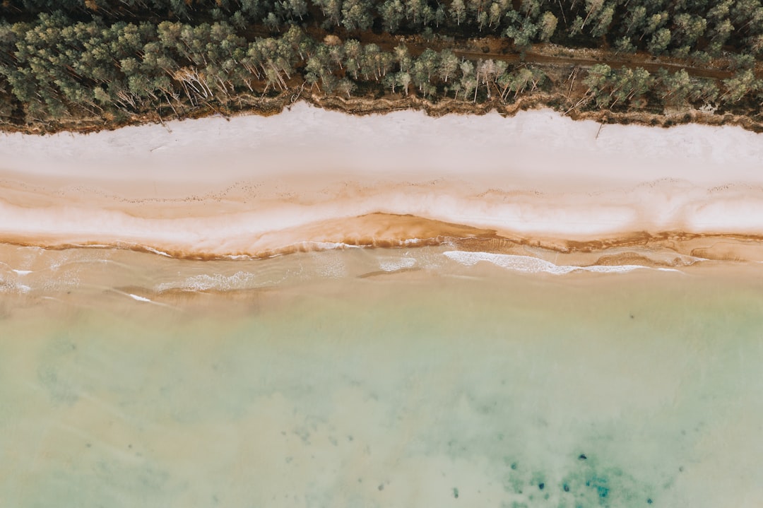 brown and white sand beach