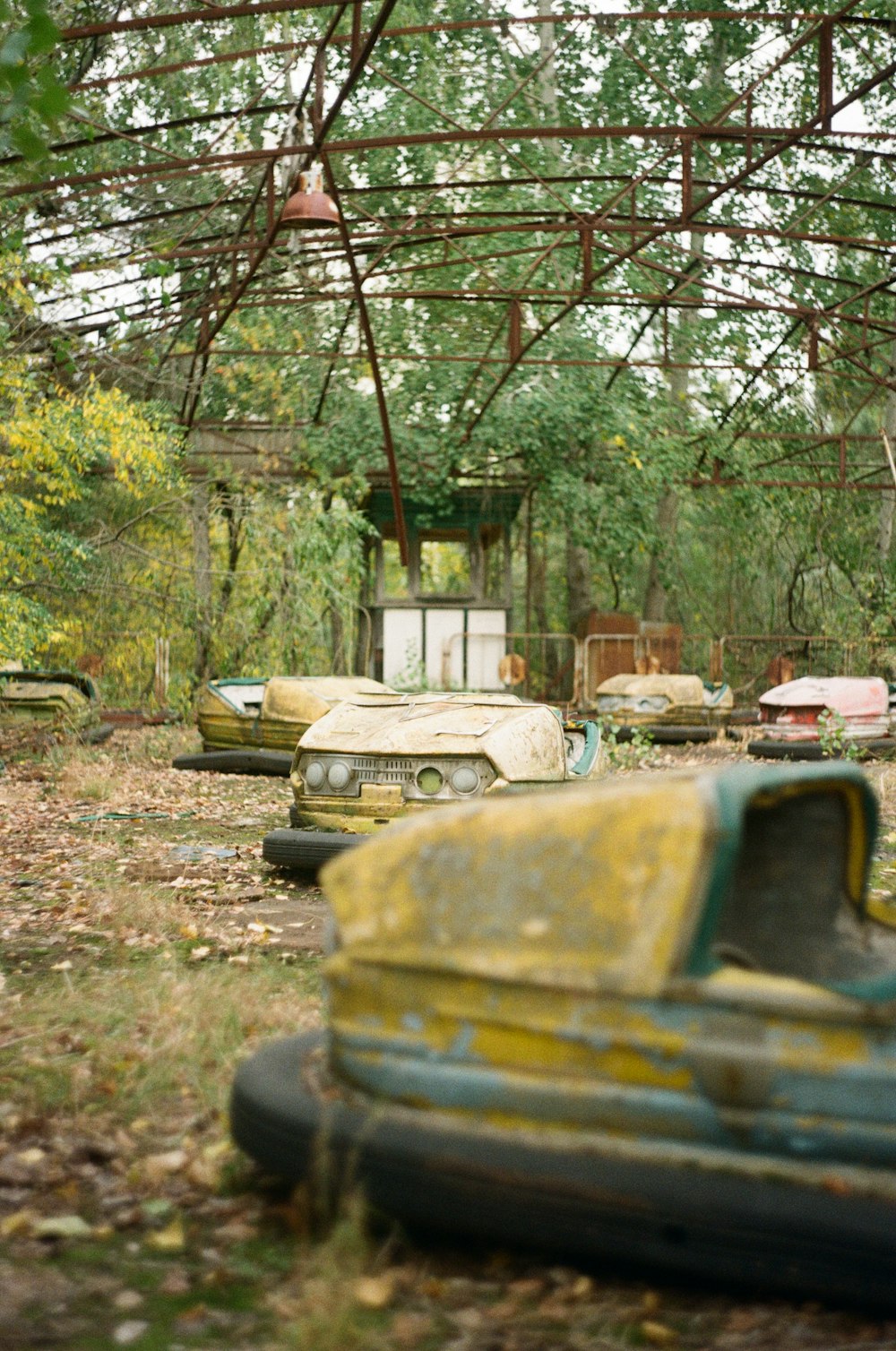 yellow and black car near green trees during daytime