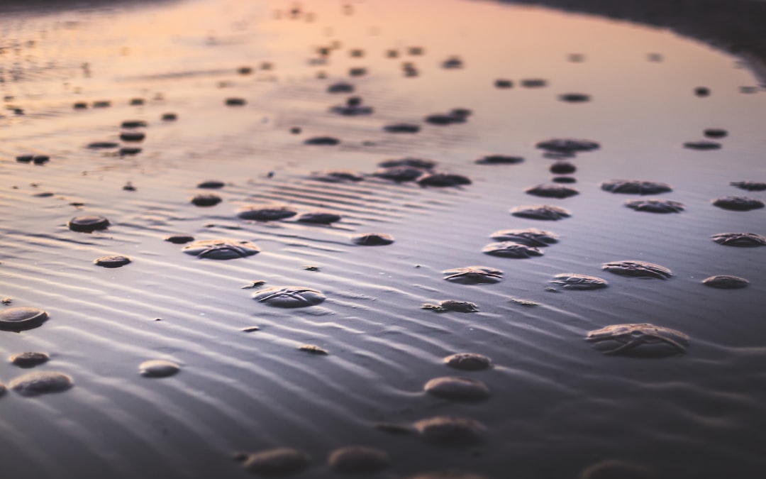 water droplets on brown sand during daytime