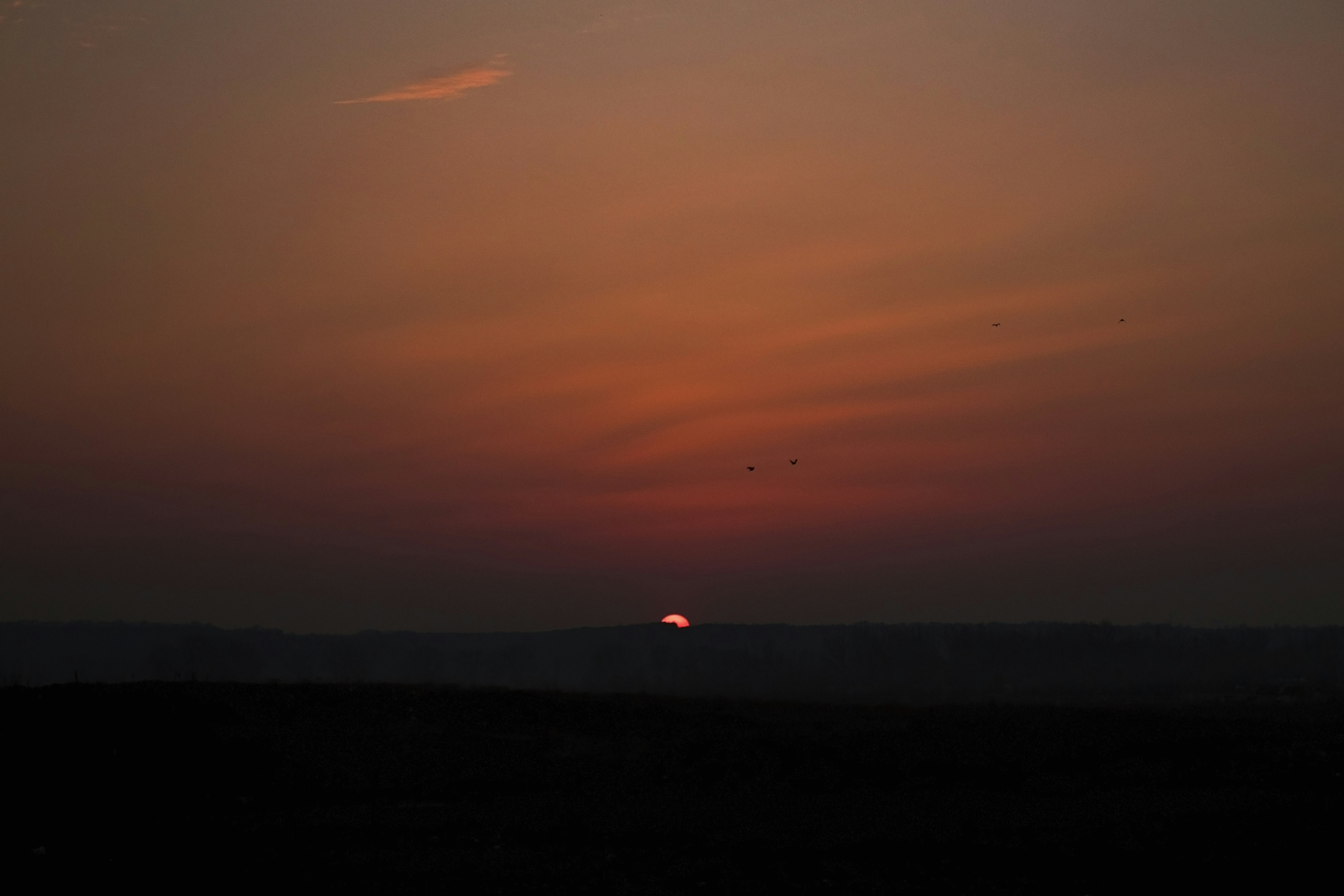 Photo by andreibizdoaca