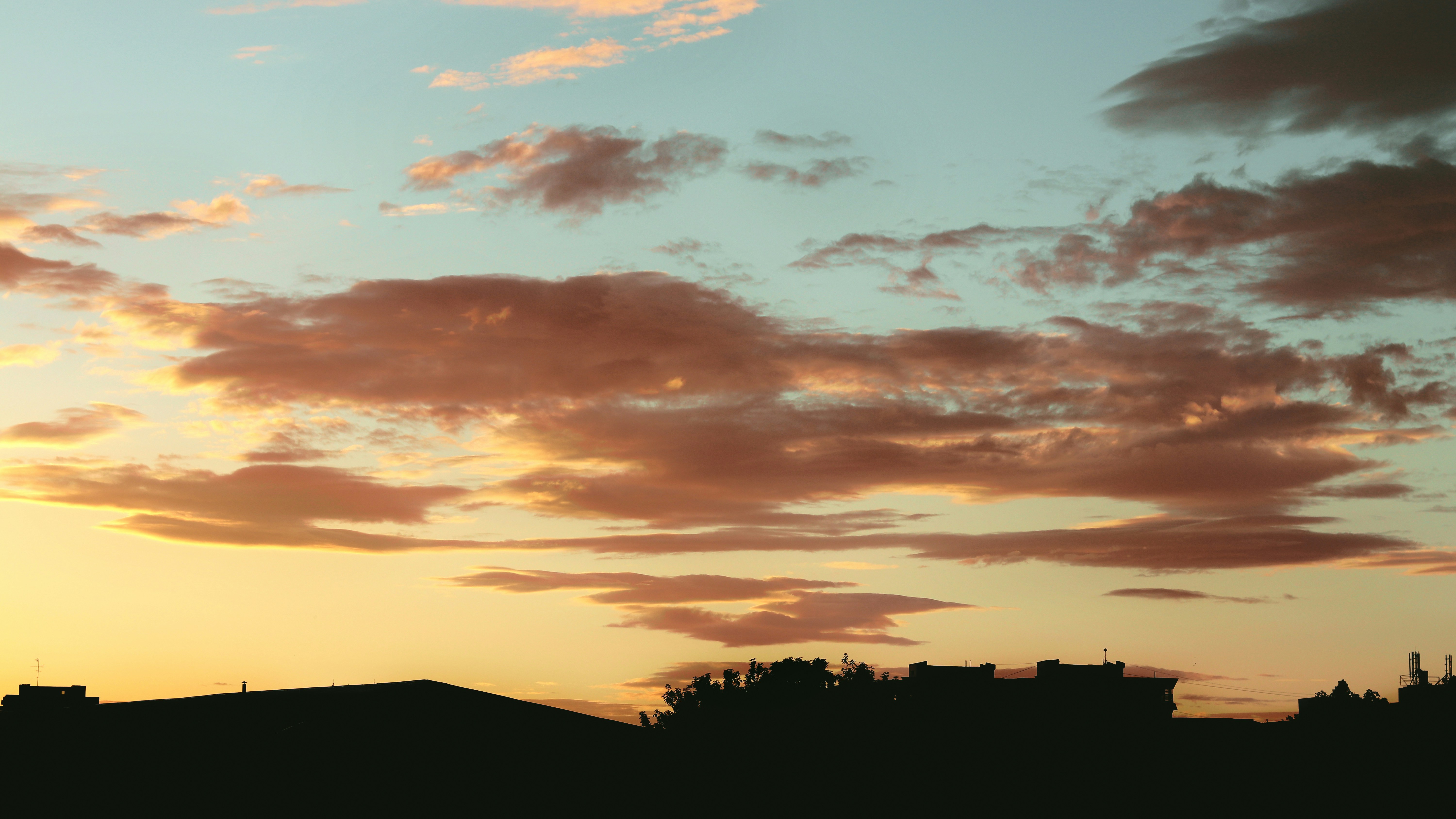 Photo by andreibizdoaca