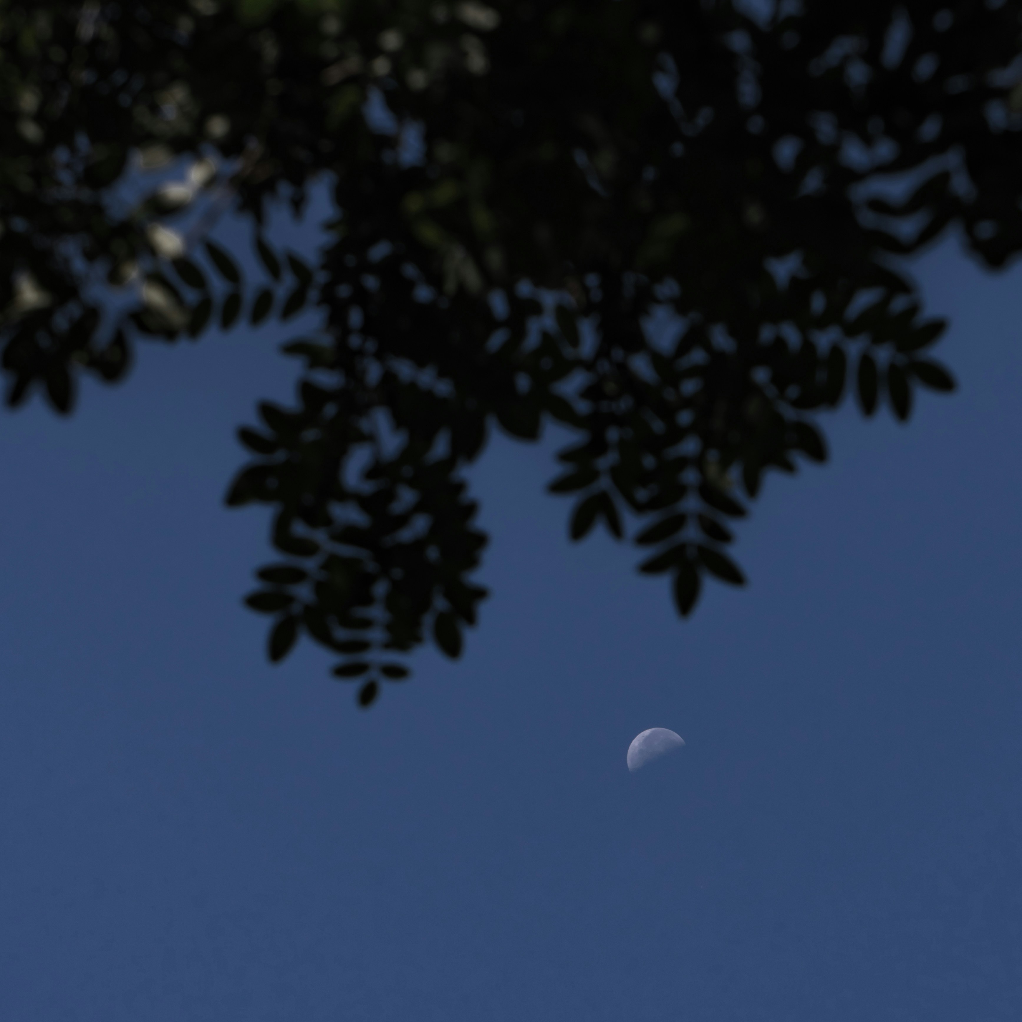 Photo by xianyuhao