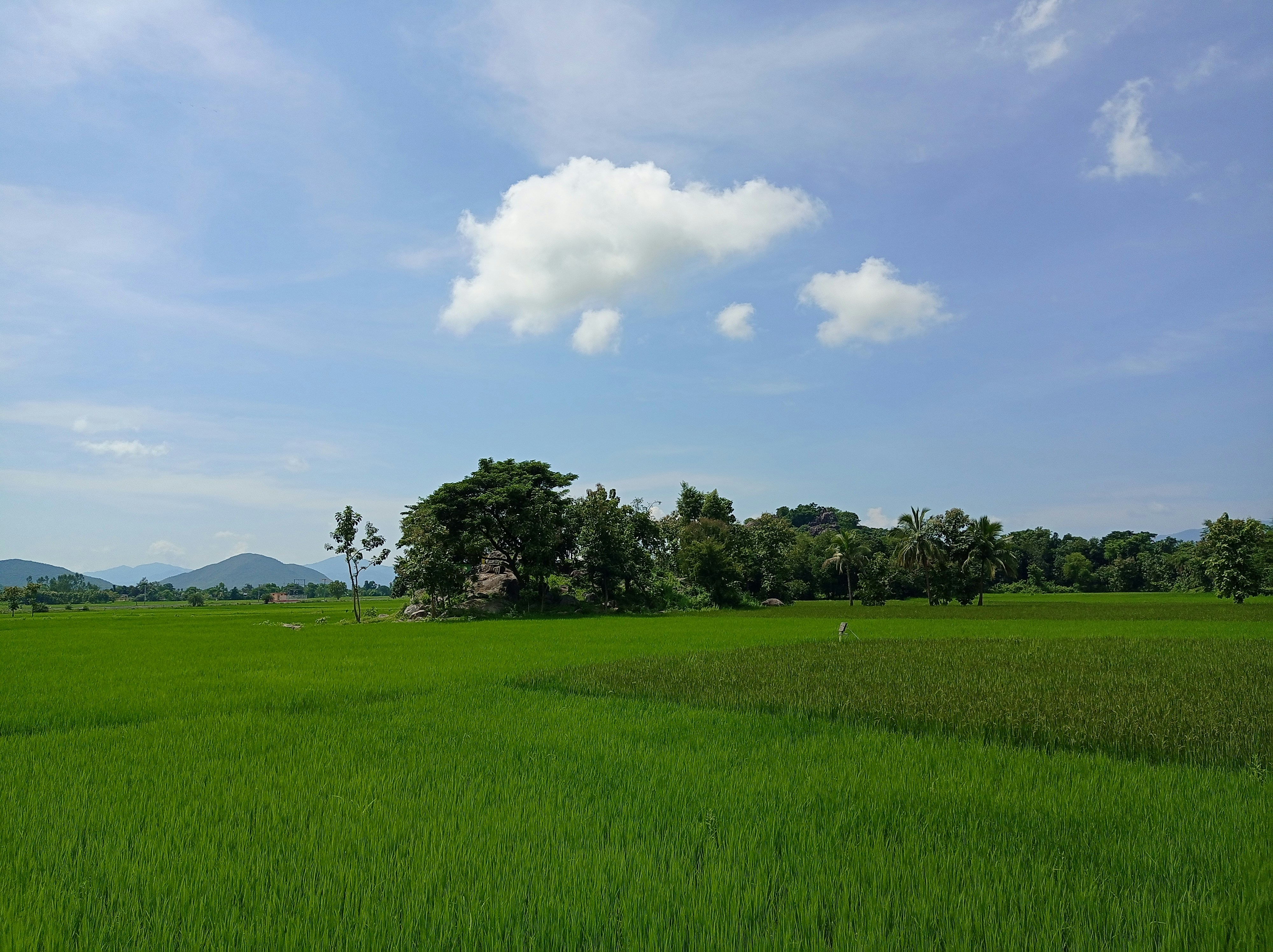 Photo by madhav_karunya