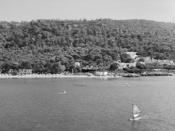A coastal scene featuring a dense forested hill in the background with a cluster of white buildings nestled along the shoreline. Several people are engaging in water activities such as windsurfing on the calm sea, while small waves lap against the beach in front of the buildings.