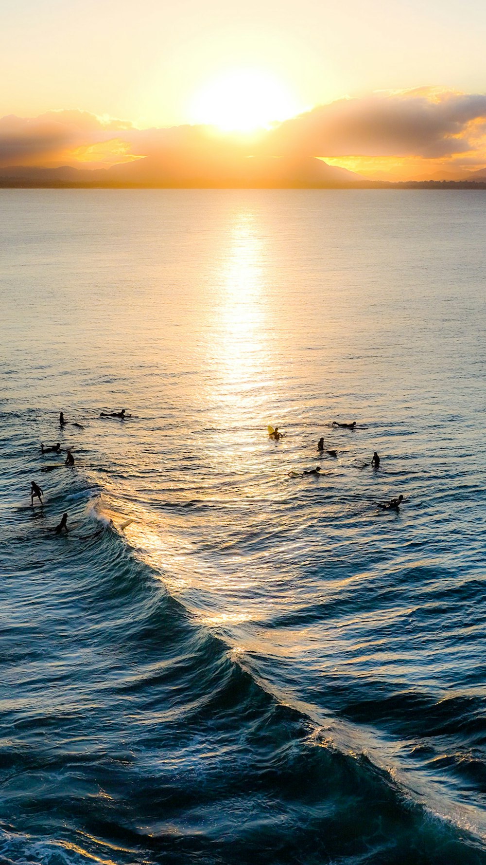 Weiße und schwarze Vögel auf See bei Sonnenuntergang