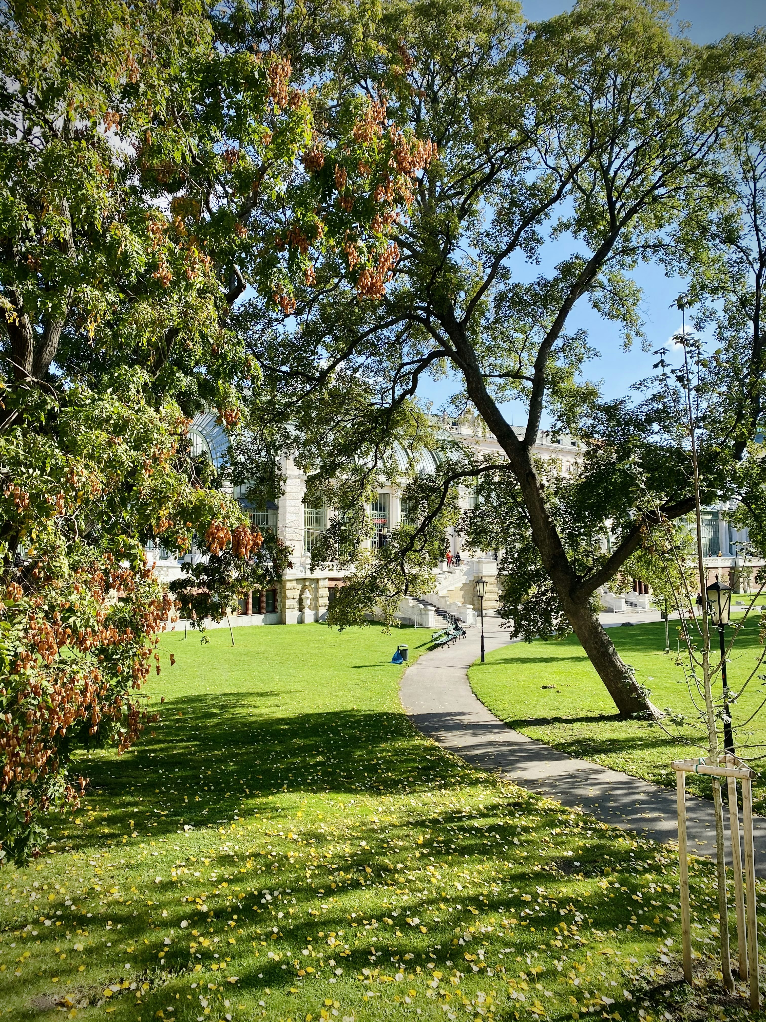 Revitalize Your Outdoor Space: Transformative Landscaping Services for Your Home