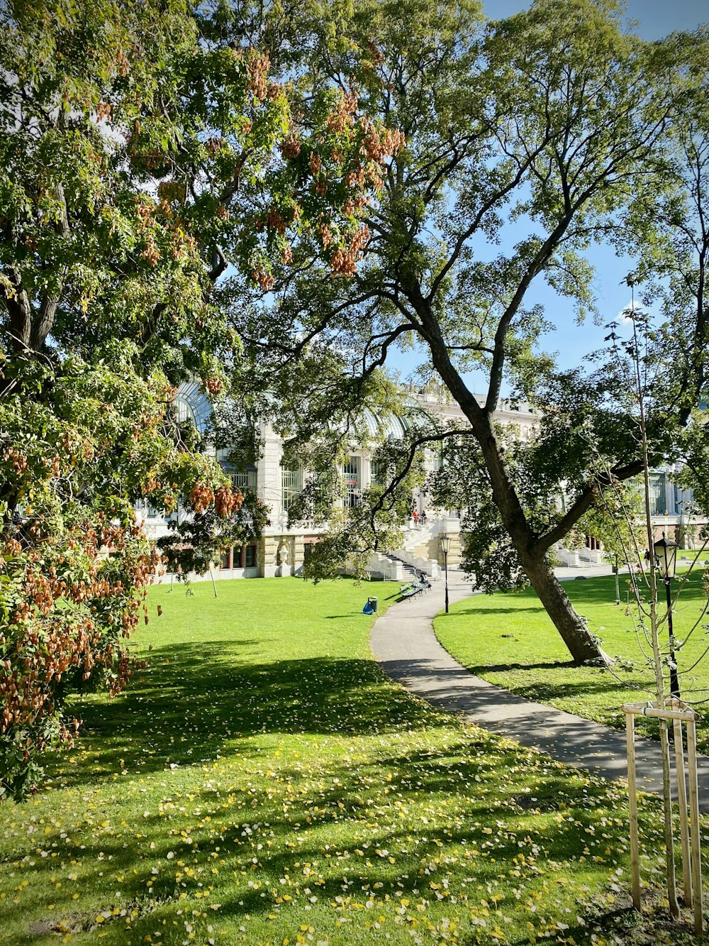 Champ d’herbe verte avec des arbres et un sentier en béton