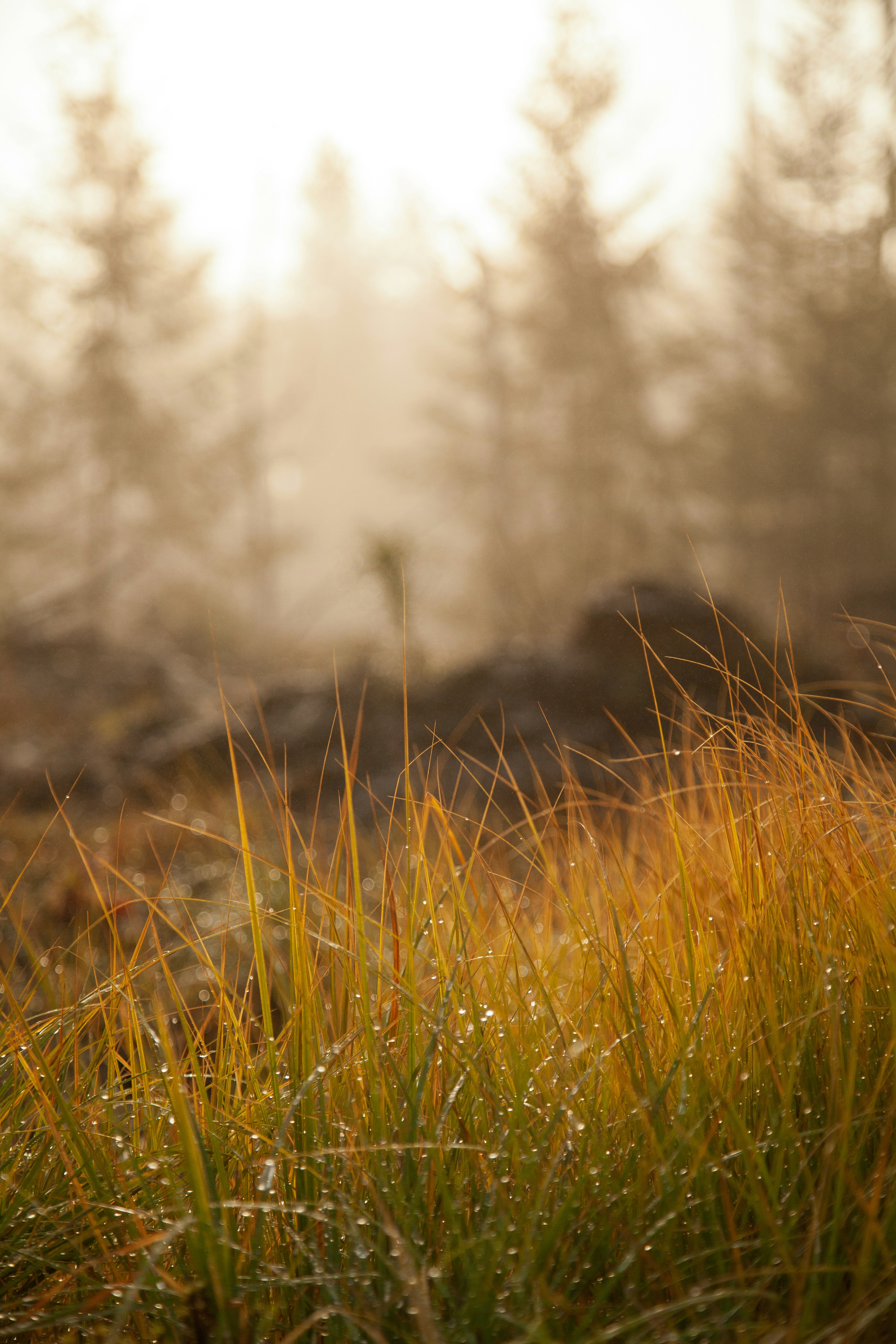 Photo by nick_brookenheimer