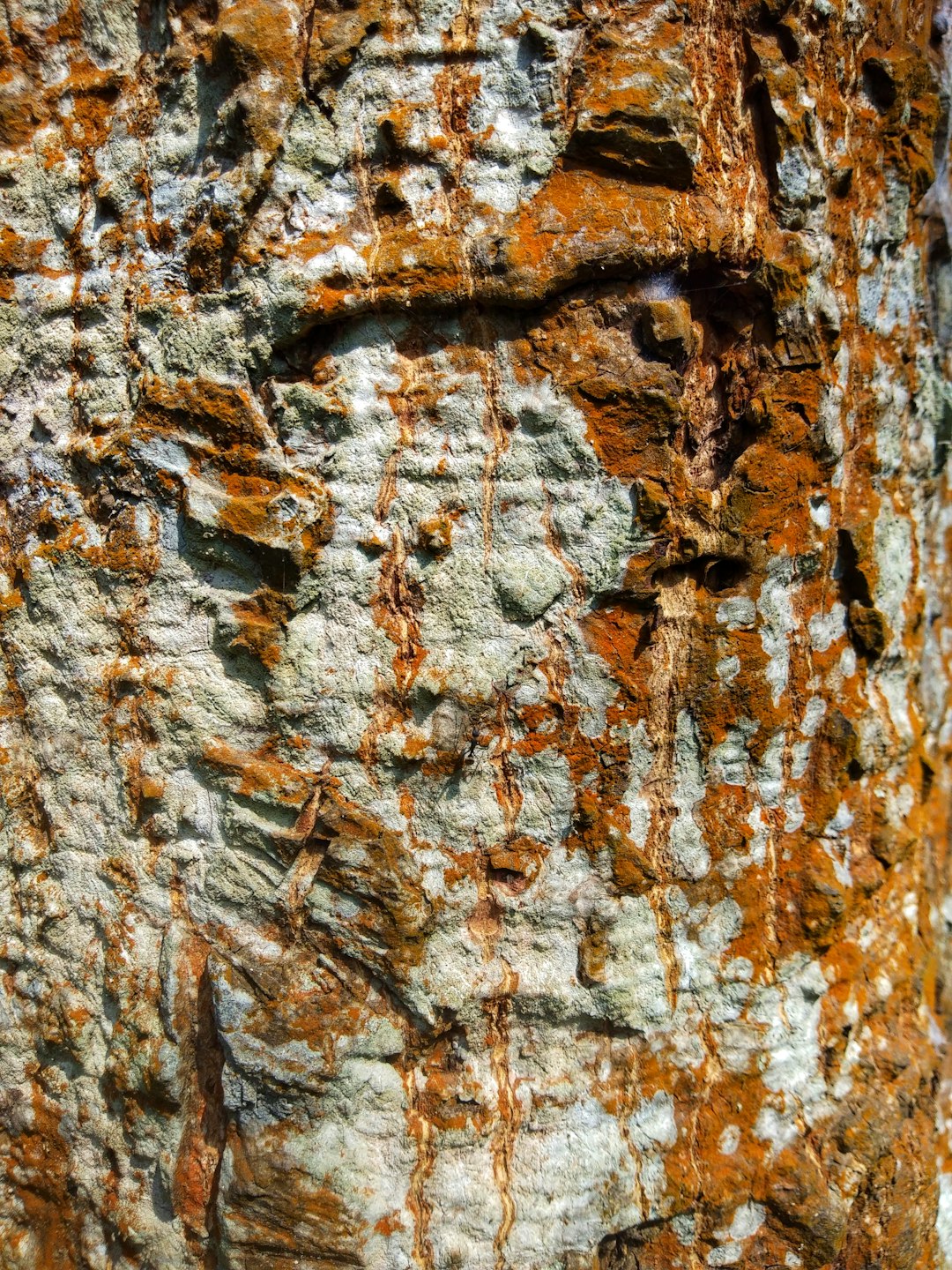 brown and black wood trunk