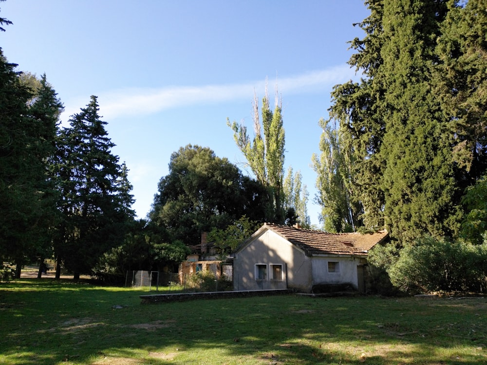 white and brown house near green trees under blue sky during daytime