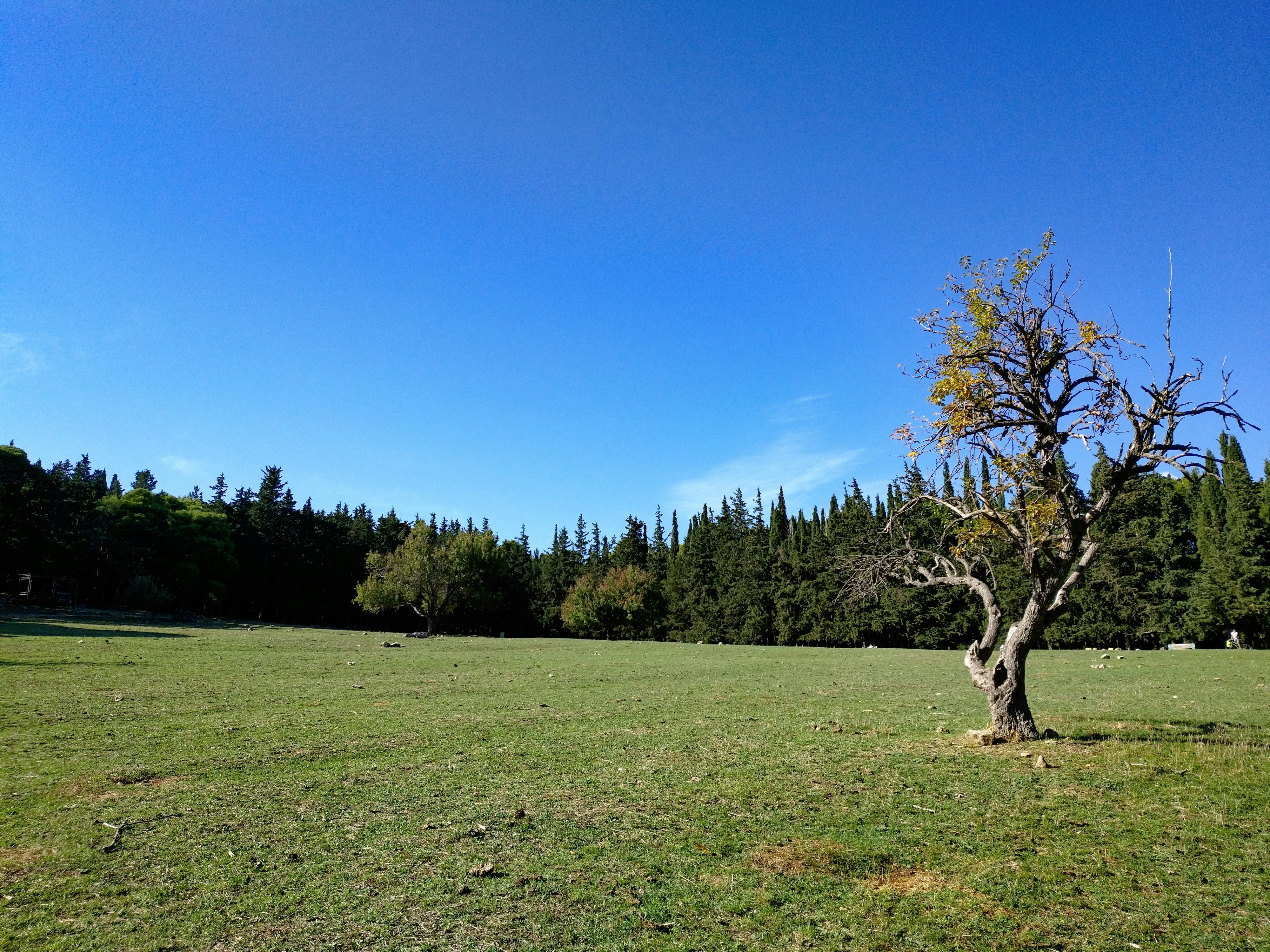 Photo by genny_taylor