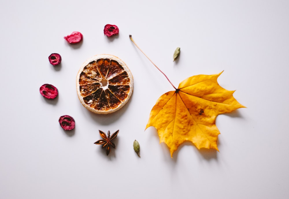 yellow maple leaf and red berries