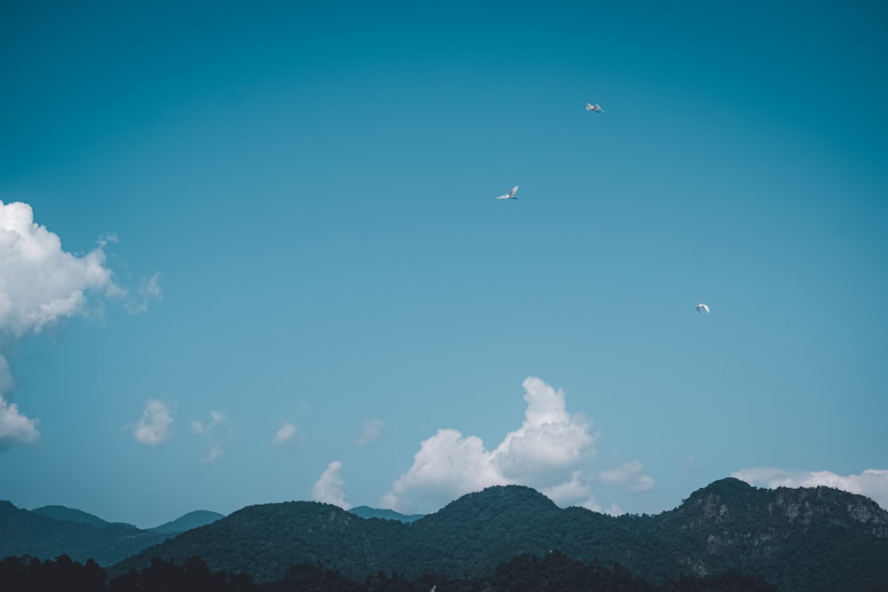 birds flying over the mountain during daytime