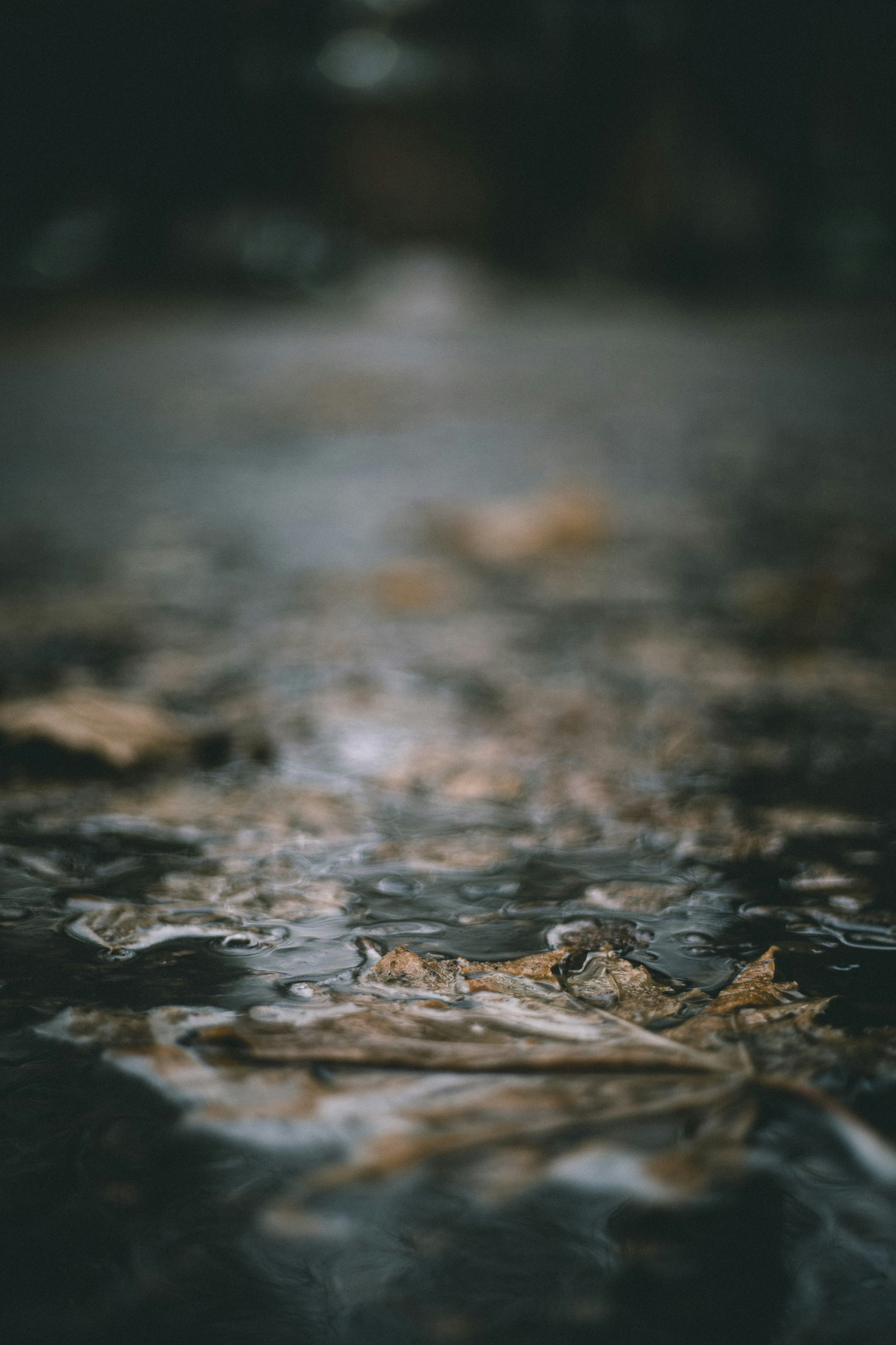 Photo by masaarakshas