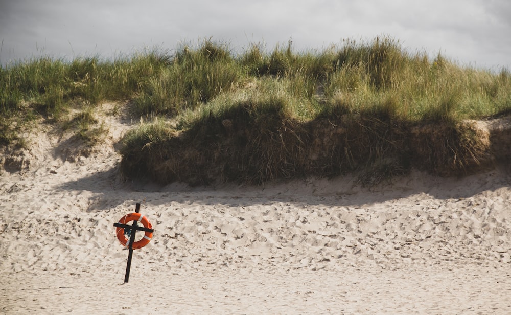 person in red shirt walking on white sand during daytime