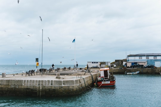 white and red boat on dock during daytime in Bullock Harbour Ireland