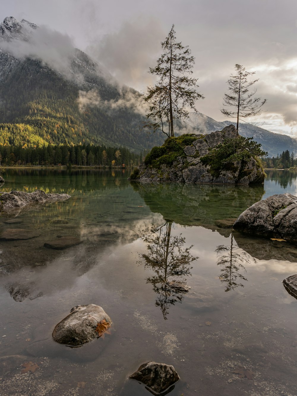 green trees near lake during daytime