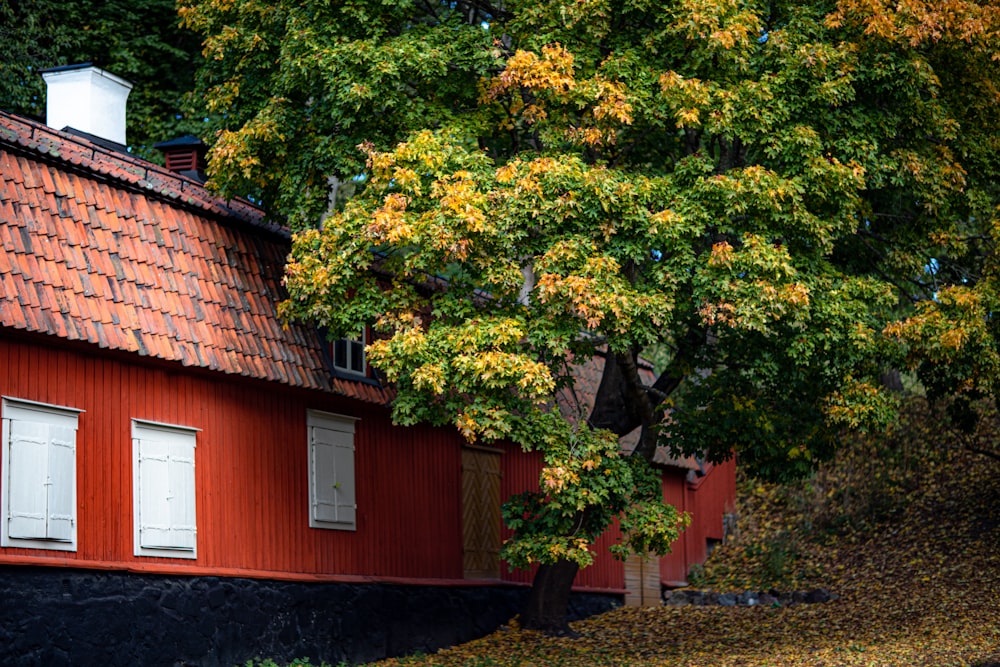 Rotes und weißes Haus umgeben von grünen Bäumen